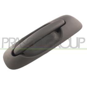 Türgriff DG0058102 von PRASCO günstig für 90,71 € online kaufen