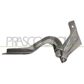 Scharnier, Motorhaube DS0143704