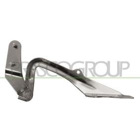 Achetez des Charnière, capot-moteur PRASCO FD4243703 à prix pour 17,04 €