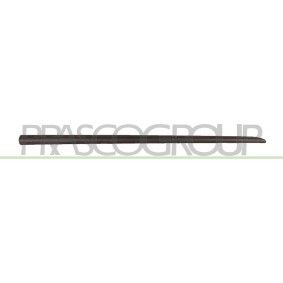 Türgriff für CHRYSLER von PRASCO