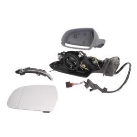 Acquista Specchietto retrovisore esterno da BLIC 5402-25-048335P a buon mercato per soli 408,43 €