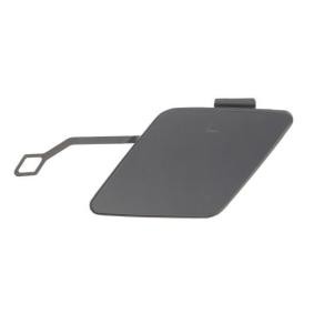 Klappe, Abschlepphaken 5513-00-0063970P