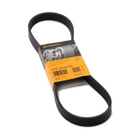Acquista Cinghia servizi da CONTITECH 6PK905 EXTRA a buon mercato per soli 16,98 €