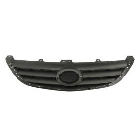 Kühlergrill 6502-07-8160993Q
