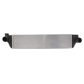 Osta Nestesäiliö, jäähdytysneste THERMOTEC:llä DBR007TT edullisesti hintaan 20,00 €