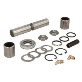 Comprar Juego de reparación, pivote del muñón del eje de FORTUNE LINE FZ91204 a bajo precio de 35,04 €