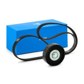 Achetez des Jeu de courroies trapézoïdales à nervures SKF VKMA 65038 à prix pour 42,00 €