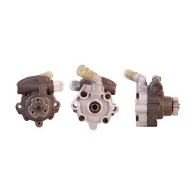 Servopumpe 715520700 von DRI günstig für 175,52 € online kaufen