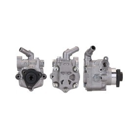 Achetez des Pompe de direction assistée DRI 715521478 à prix pour 248,82 €