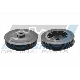 Acquista Puleggia cinghia albero a gomiti da IJS GROUP 17-1001 a buon mercato per soli 41,64 €