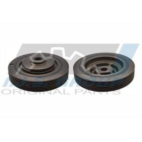 Acquista Puleggia cinghia albero a gomiti da IJS GROUP 17-1003 a buon mercato per soli 53,89 €