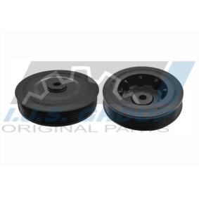 Acquista Puleggia cinghia albero a gomiti da IJS GROUP 17-1024 a buon mercato per soli 39,67 €