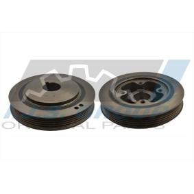 Achetez des Poulie damper (vilebrequin) IJS GROUP 17-1048 à prix pour 87,96 €