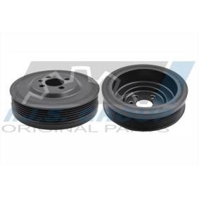 Achetez des Poulie damper (vilebrequin) IJS GROUP 17-1071 à prix pour 62,19 €