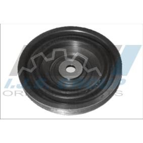 Achetez des Poulie damper (vilebrequin) IJS GROUP 17-1099 à prix pour 72,06 €