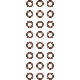 Comprar Juego de juntas, vástago de válvula de REINZ 12-10792-01 a bajo precio de 73,16 €