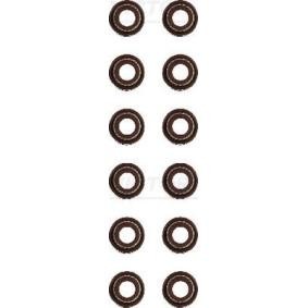Comprar Juego de juntas, vástago de válvula de REINZ 12-53037-01 a bajo precio de 92,21 €