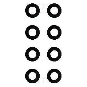Comprar Juego de juntas, vástago de válvula de REINZ 12-77023-01 a bajo precio de 6,38 €