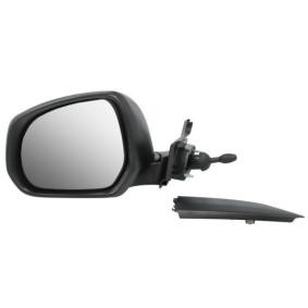 Acquista Specchietto retrovisore esterno da BLIC 5402-18-025361P a buon mercato per soli 60,58 €