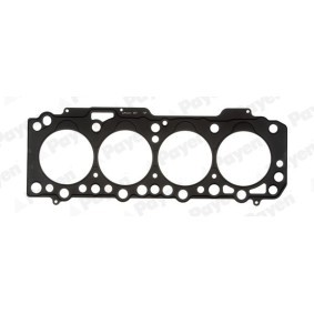 Comprar Junta de culata de PAYEN AG5170 a bajo precio de 91,89 €