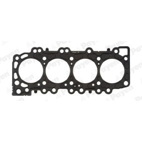 Acquista Guarnizione testata da PAYEN AG5301 a buon mercato per soli 49,29 €