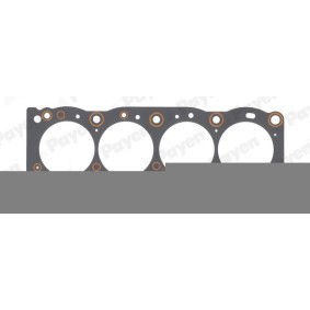 Acquista Guarnizione testata da PAYEN online per PREVIA (MCR3_, ACR3_, CLR3_) a prezzi moderati