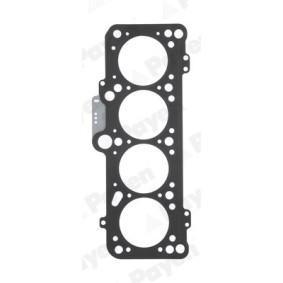 Zylinderkopfdichtung BV870