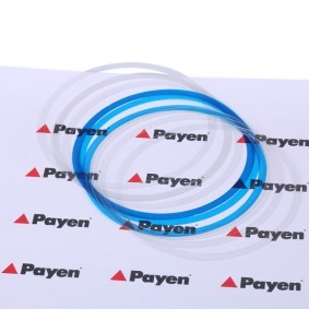 Köp O-ringssats, cylinderfoder av PAYEN HR350 till det låga priset 123,12 kr