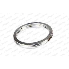 Acquista Guarnizione collettore scarico da PAYEN JC632 a buon mercato per soli 25,32 €
