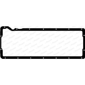 Achetez des Joint de carter d'huile PAYEN JJ490 à prix pour 40,29 €