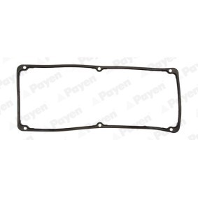 Acquista Guarnizione, Copritestata da PAYEN JN897 a buon mercato per soli 18,27 €