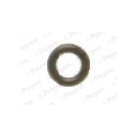 Achetez des Joint de queue de soupape PAYEN KH066 à prix pour 7,98 €