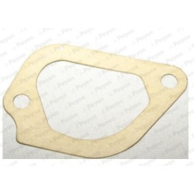 Dichtung, Thermostat von PAYEN LA378