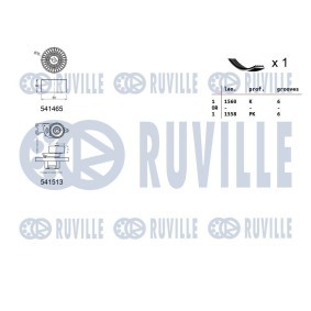 Achetez des Pompe à eau RUVILLE 65887G à prix pour 70,28 €
