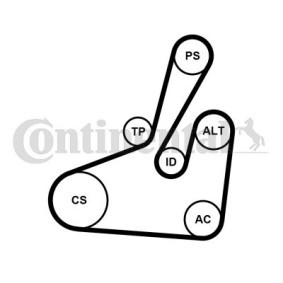 Achetez des Jeu de courroies trapézoïdales à nervures CONTITECH 6PK1710K2 à prix pour 82,82 €