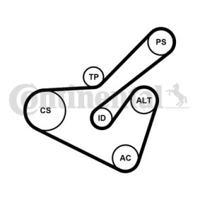 Achetez des Jeu de courroies trapézoïdales à nervures CONTITECH 6PK1725K2 à prix pour 102,61 €