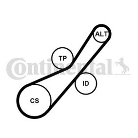 Achetez des Jeu de courroies trapézoïdales à nervures CONTITECH 6PK800K1 à prix pour 86,15 €