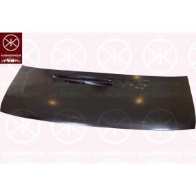Motorhaube 3541281