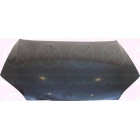 Motorhaube 2530280