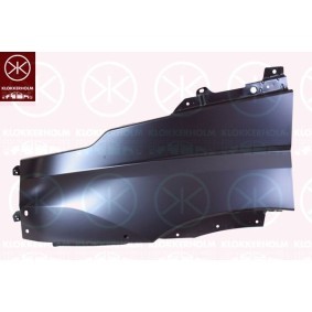 Motorhaube 1668281