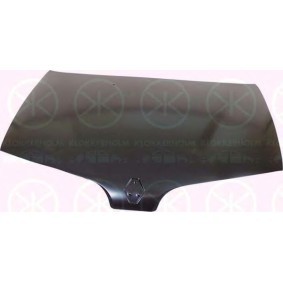 Motorhaube 6037280A1