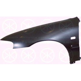 Kotflügel 6410311A1