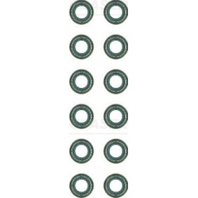 Comprar Juego de juntas, vástago de válvula de GLASER N92960-00 a bajo precio de 12,70 €