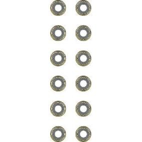 Comprar Juego de juntas, vástago de válvula de GLASER N93134-00 a bajo precio de 34,64 €