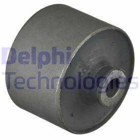 Achskörperlager von DELPHI TD1101W