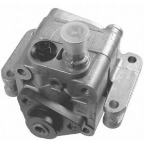 Servopumpe PI0657