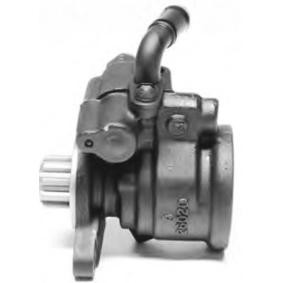 Servopumpe PI1119