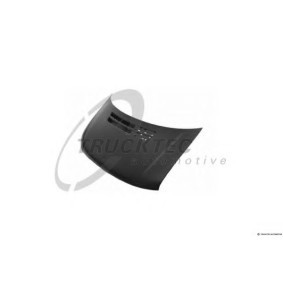 Motorhaube 02.55.007
