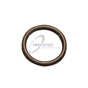 Compre Junta de colector de admisión de TRUCKTEC AUTOMOTIVE online para Clase C T-modell (S204) a precios moderados