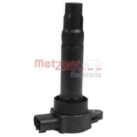 Acquista Bobina d'accensione da METZGER 0880419 a buon mercato per soli 101,81 €
